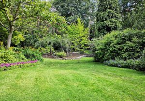 Optimiser l'expérience du jardin à Gourgeon